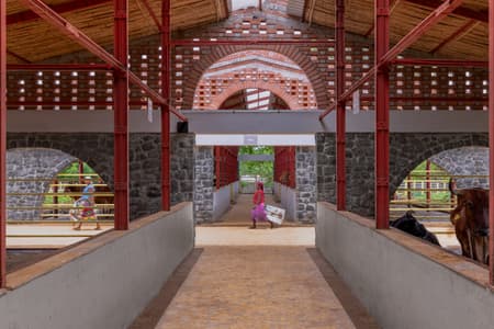Gaughar Animal Husbandry
